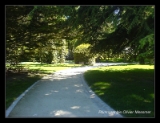 Le parc du chateau à Vitré-003